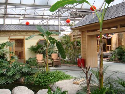 專業(yè)設(shè)計(jì) 施工各種鋼結(jié)構(gòu)智能溫室、鋼結(jié)構(gòu)室內(nèi)園林景觀生態(tài)園工程、網(wǎng)架花卉溫室工程