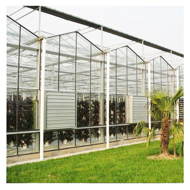 陽板溫室建設觀光生態(tài)園溫室建造玻璃智能溫室建設安陽鑫海溫室建造最專業(yè)圖片_高清圖_細節(jié)圖