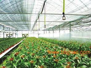 壓力補償式滴頭廠家優選潤通節水灌溉,壓力補償式滴頭廠家優選潤通節水灌溉生產廠家,壓力補償式滴頭廠家優選潤通節水灌溉價格