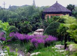 白馬澗生態園風景美圖