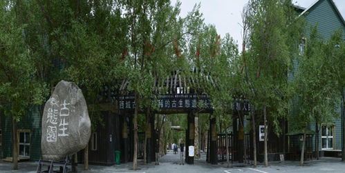 新疆古生態(tài)園 穿越時(shí)空的自然奇觀與生態(tài)寶庫(kù)
